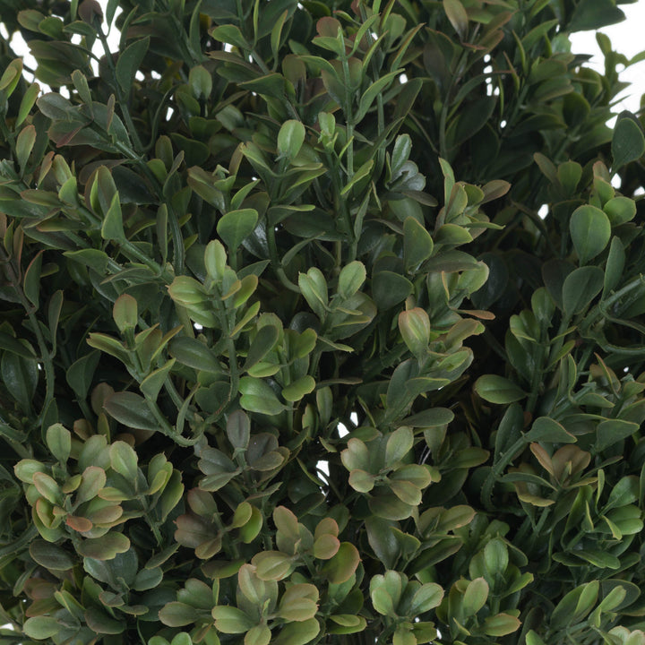 Red Tipped Leaf Spray - Reposing