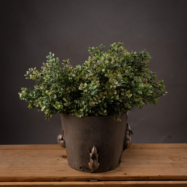 Red Tipped Leaf Spray - Reposing