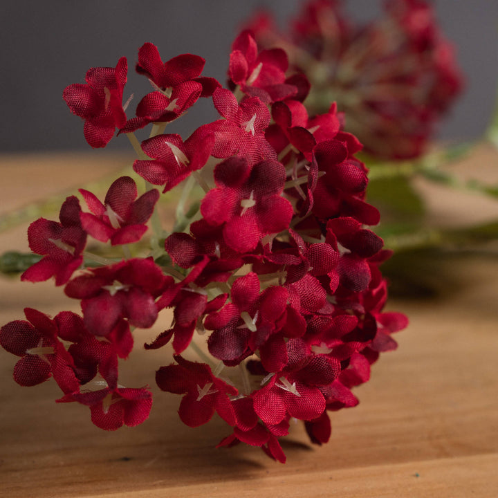 Red Autumnal Viburnum - Reposing