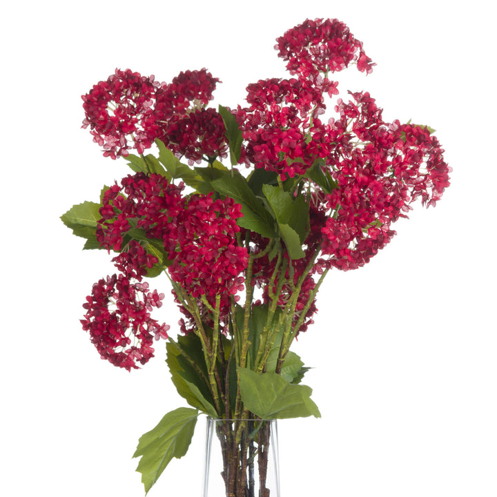 Red Autumnal Viburnum - Reposing