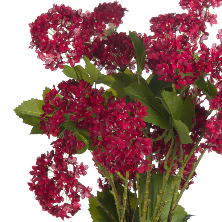 Red Autumnal Viburnum - Reposing