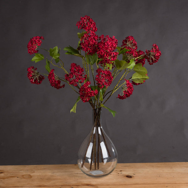 Red Autumnal Viburnum