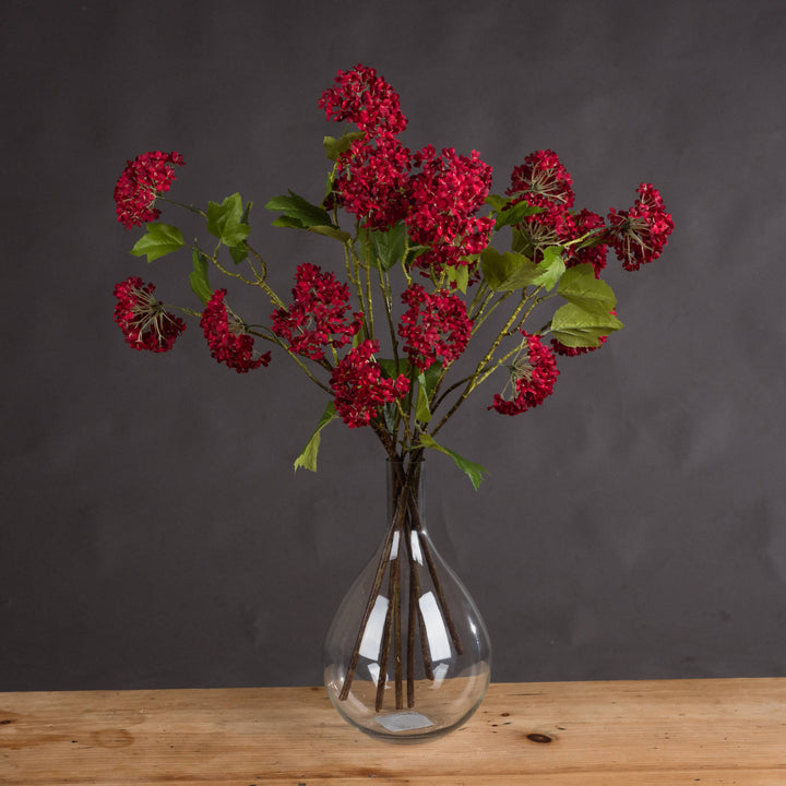 Red Autumnal Viburnum - Reposing