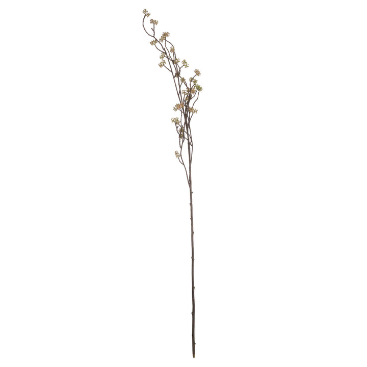 Branch in Bloom Filler - Reposing
