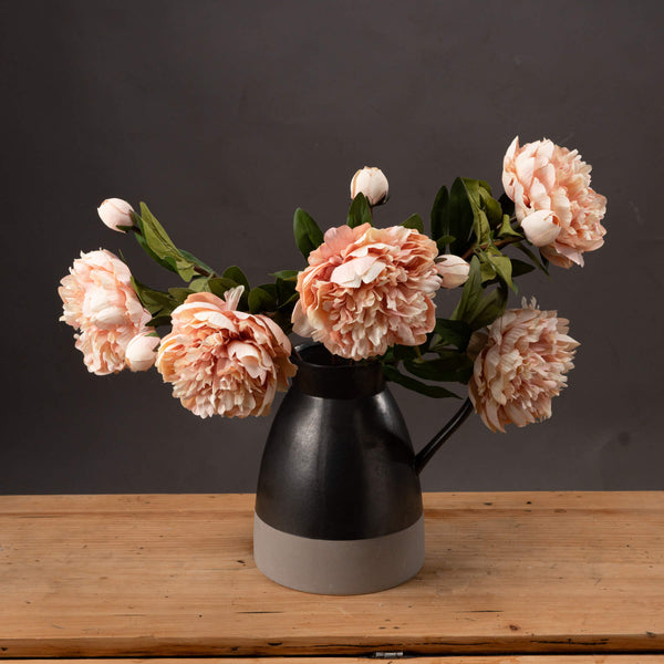 Peach Peony Rose - Reposing