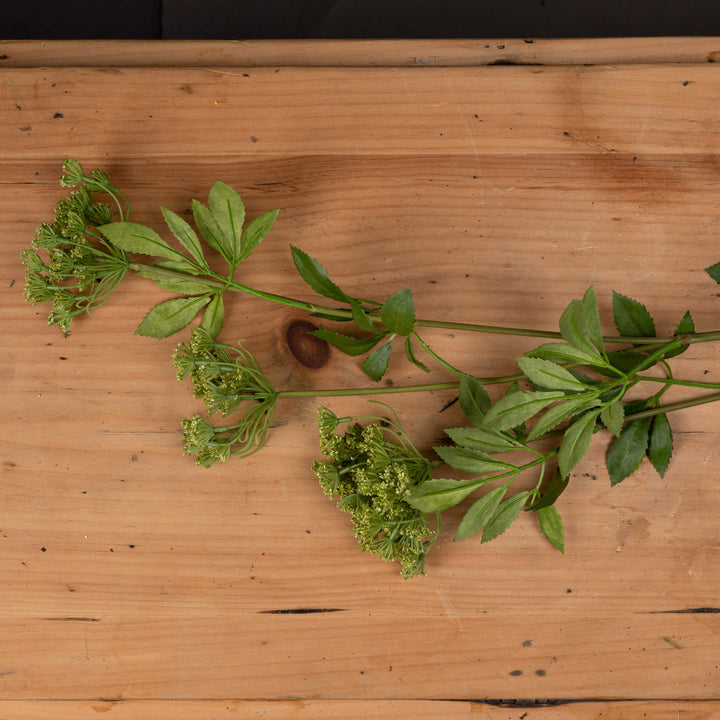 Faux Cow Parsley Ammi - Reposing