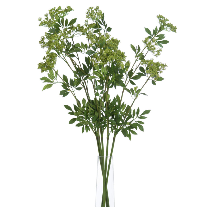 Faux Cow Parsley Ammi - Reposing