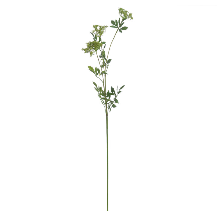 Faux Cow Parsley Ammi - Reposing