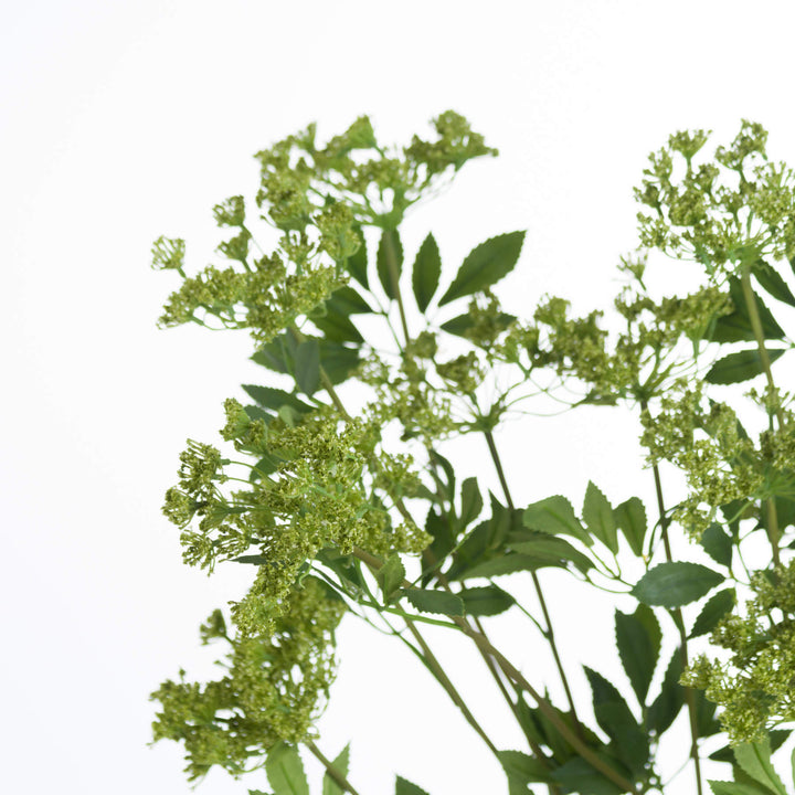 Faux Cow Parsley Ammi - Reposing