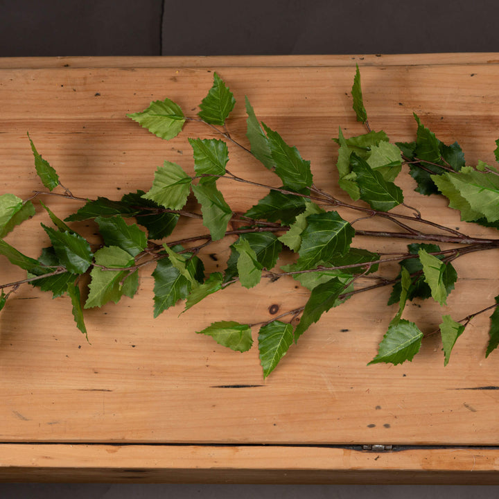 Green Branch Spray - Reposing