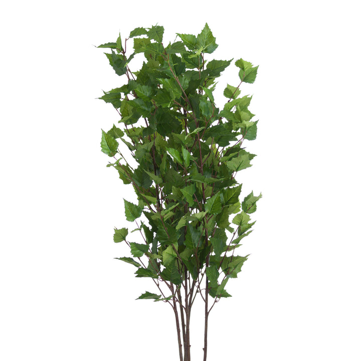 Green Branch Spray - Reposing