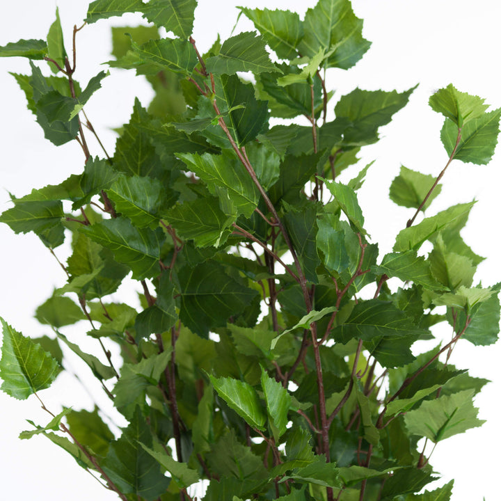 Green Branch Spray - Reposing