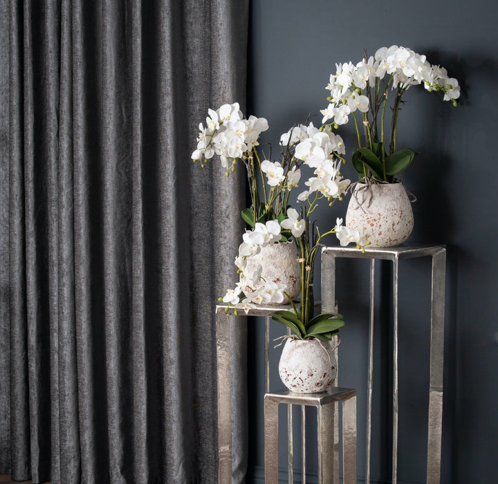 White Orchid In Stone Pot - Reposing