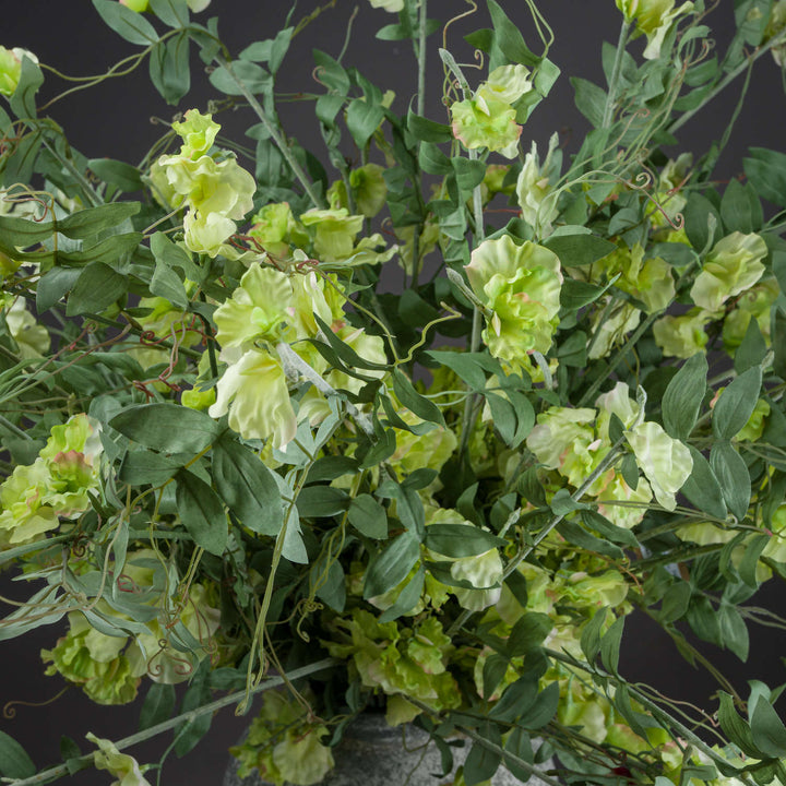 Sweet Pea Trail - Reposing