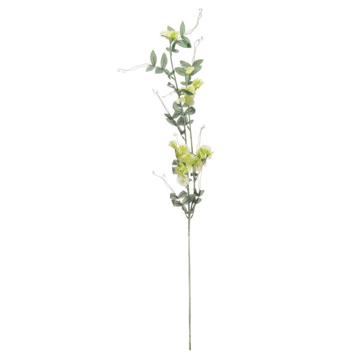 Sweet Pea Trail - Reposing