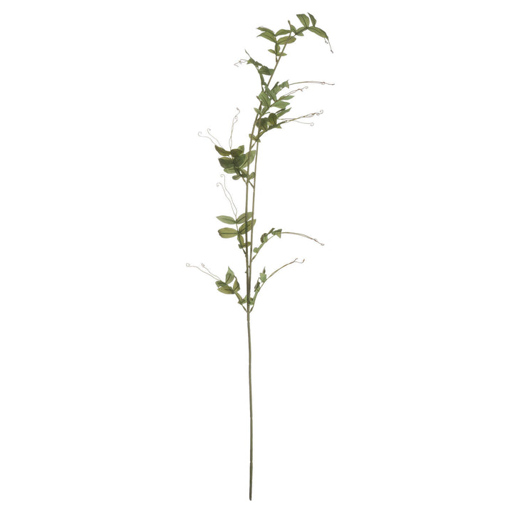 Sweet Pea Trail - Reposing