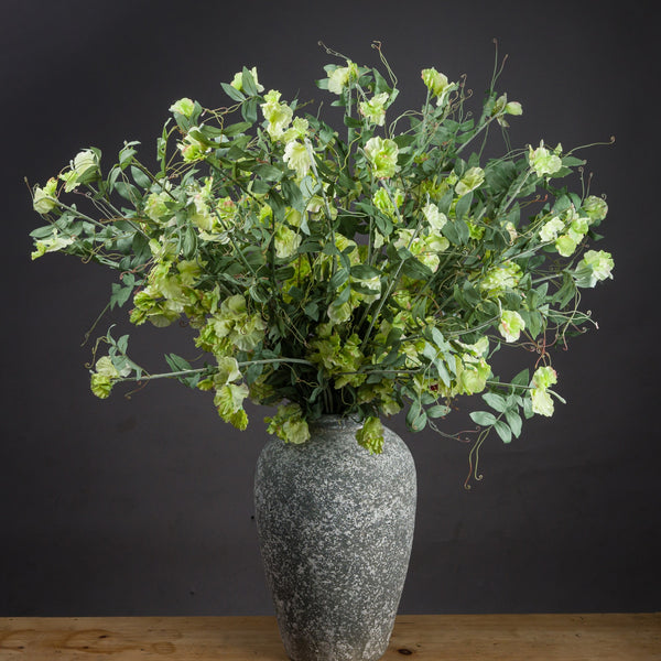 Sweet Pea Trail - Reposing