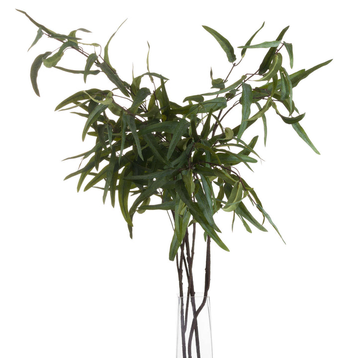 Eucalyptus Nicholii Spray - Reposing