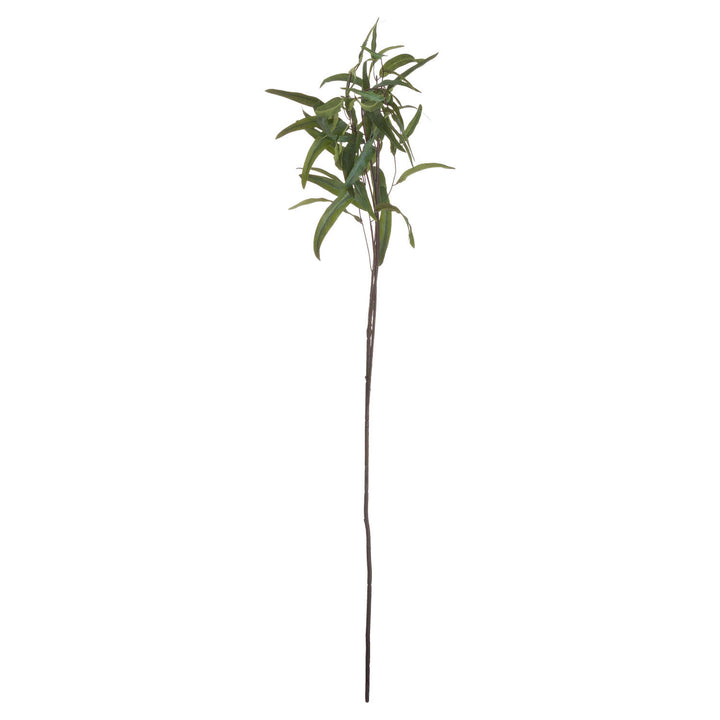 Eucalyptus Nicholii Spray - Reposing