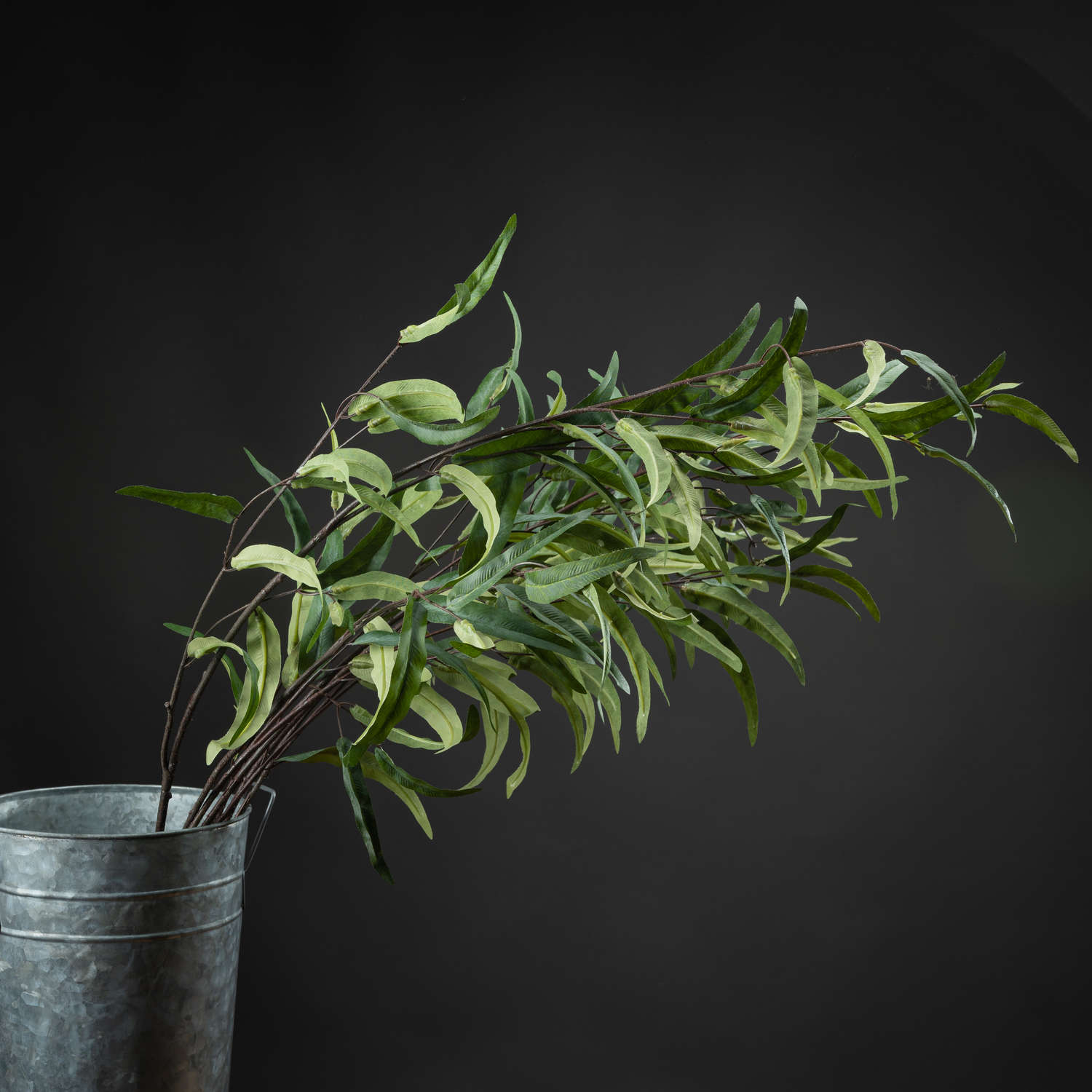 Reposing V Eucalyptus Nicholii Spray