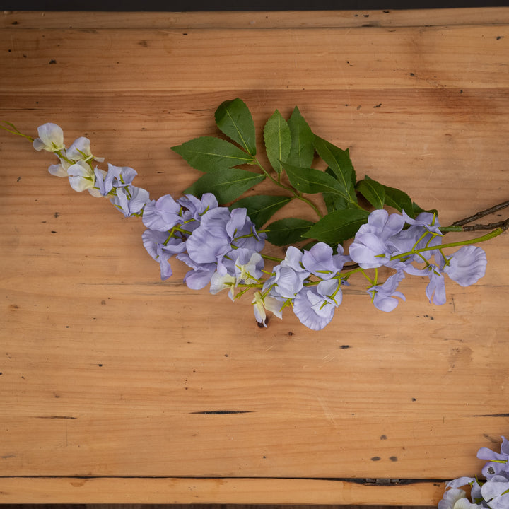 Lilac Wisteria - Reposing
