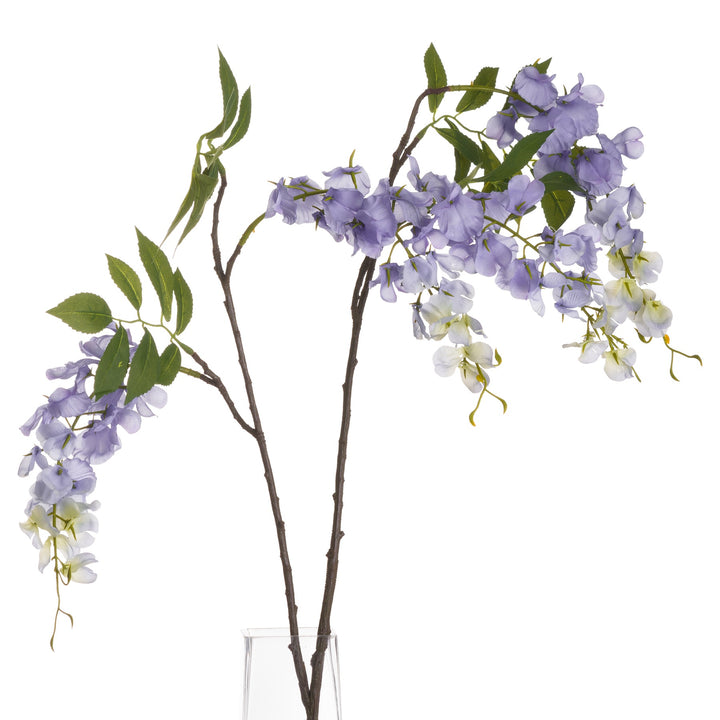 Lilac Wisteria - Reposing