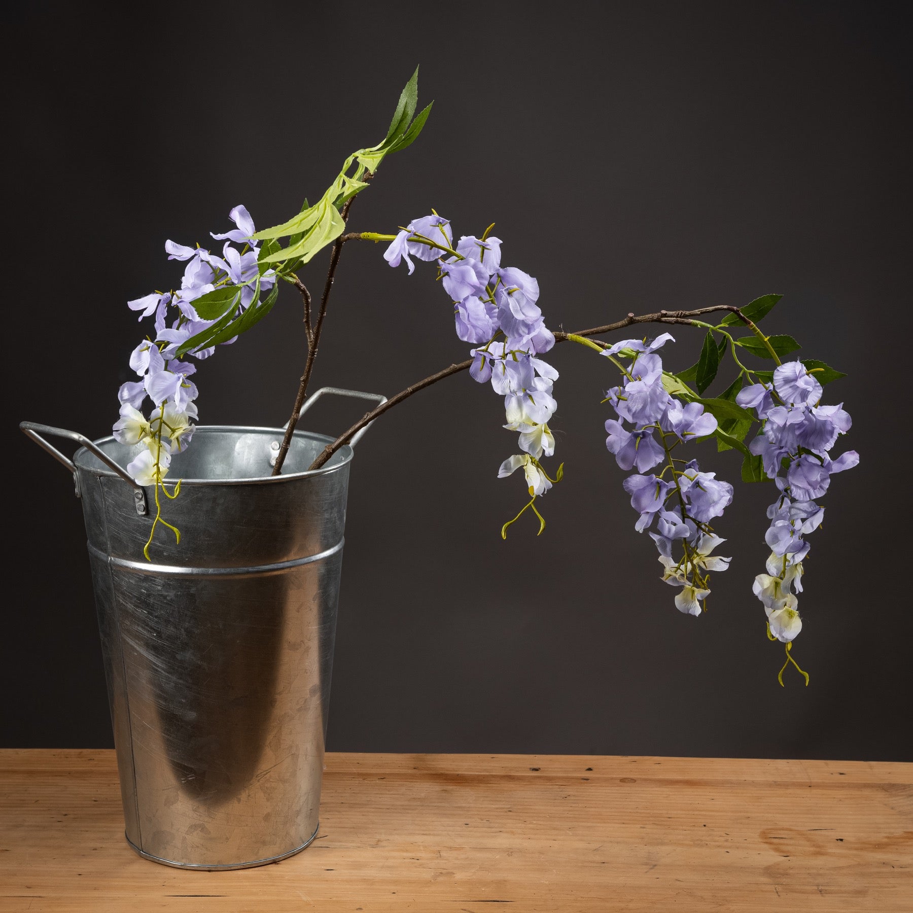 Reposing V Lilac Wisteria