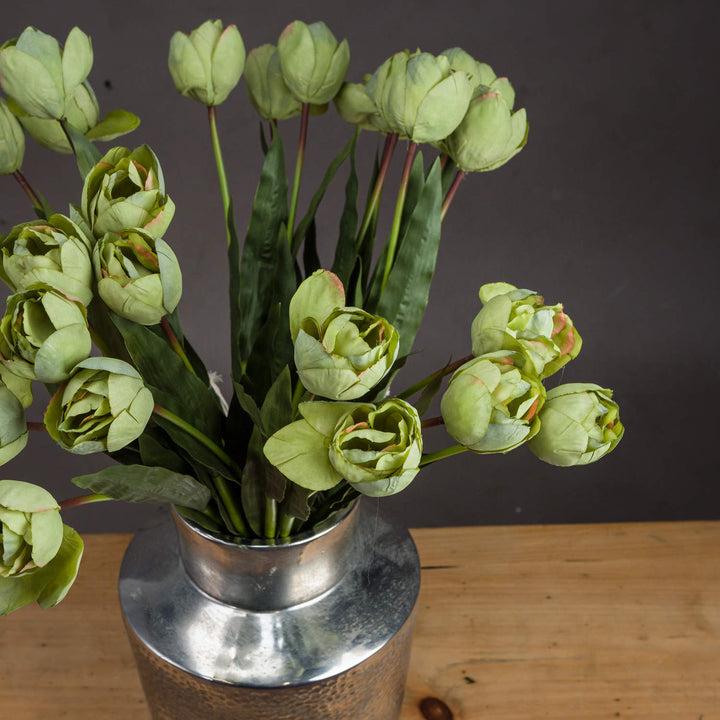Green Tulip - Reposing