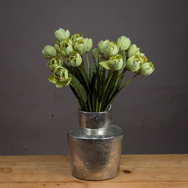 Green Tulip - Reposing