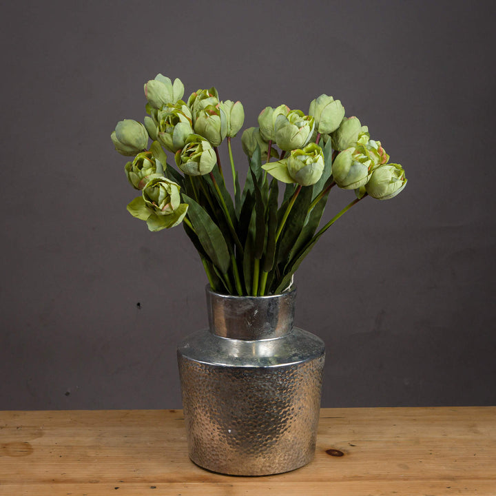 Green Tulip - Reposing