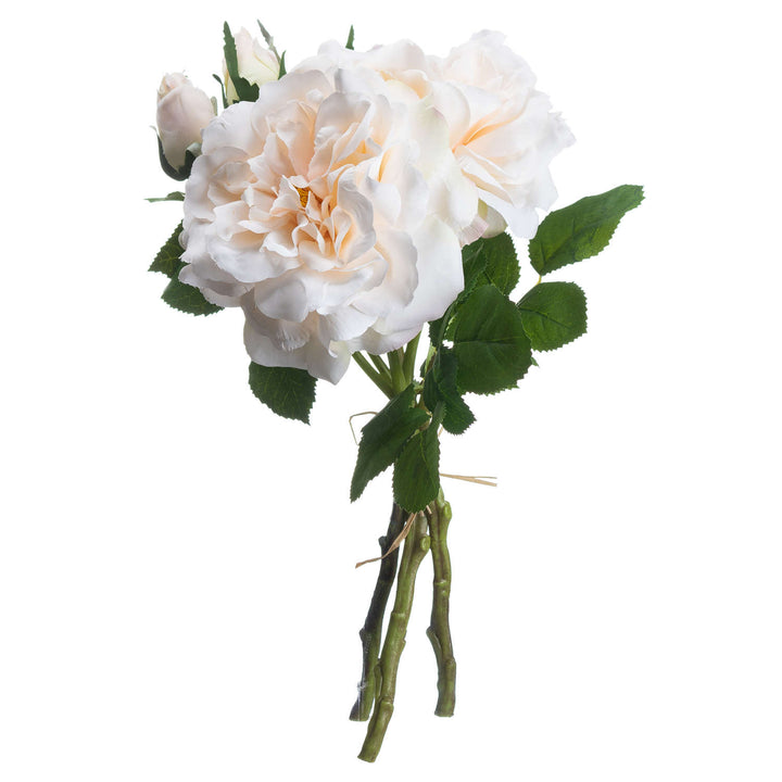 Peachy Cream Short Stem Rose Bouquet - Reposing