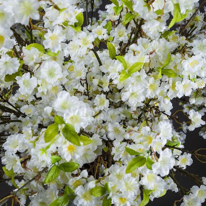 White Cherry Blossom Spray - Reposing
