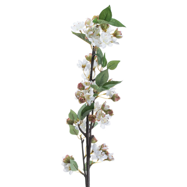 English Blossom Branch - Reposing