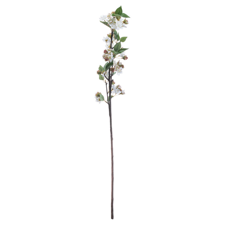 English Blossom Branch - Reposing