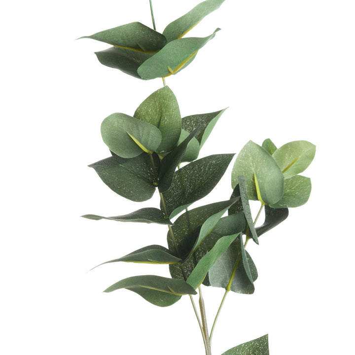 Eucalyptus Filler - Reposing