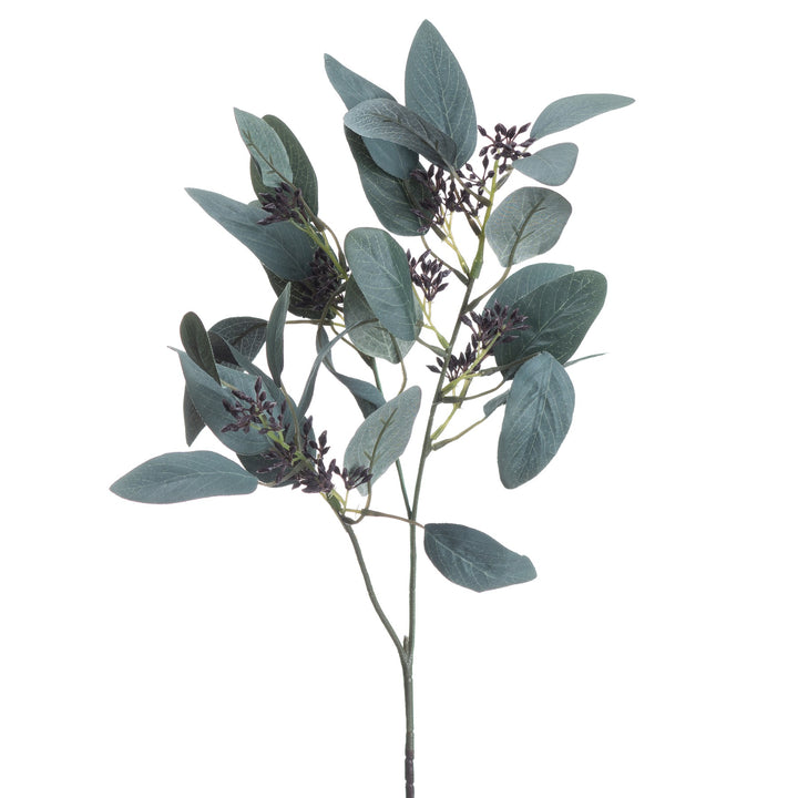 Seeded Eucalyptus Stem - Reposing