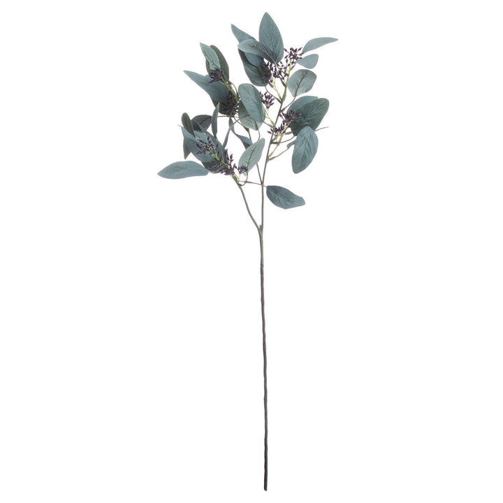 Seeded Eucalyptus Stem - Reposing