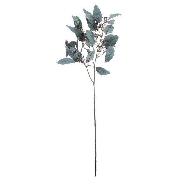 Seeded Eucalyptus Stem - Reposing
