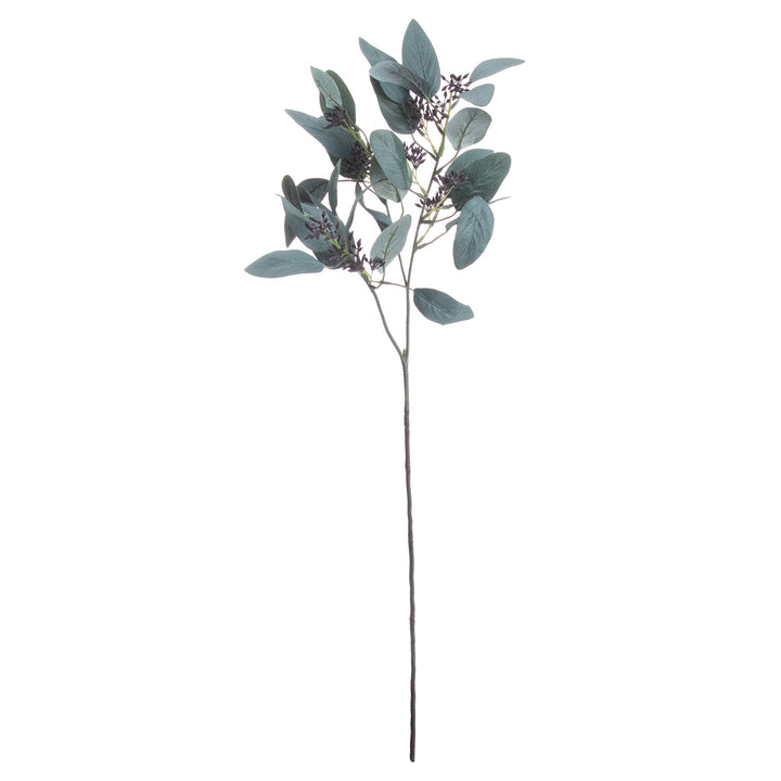 Seeded Eucalyptus Stem - Reposing