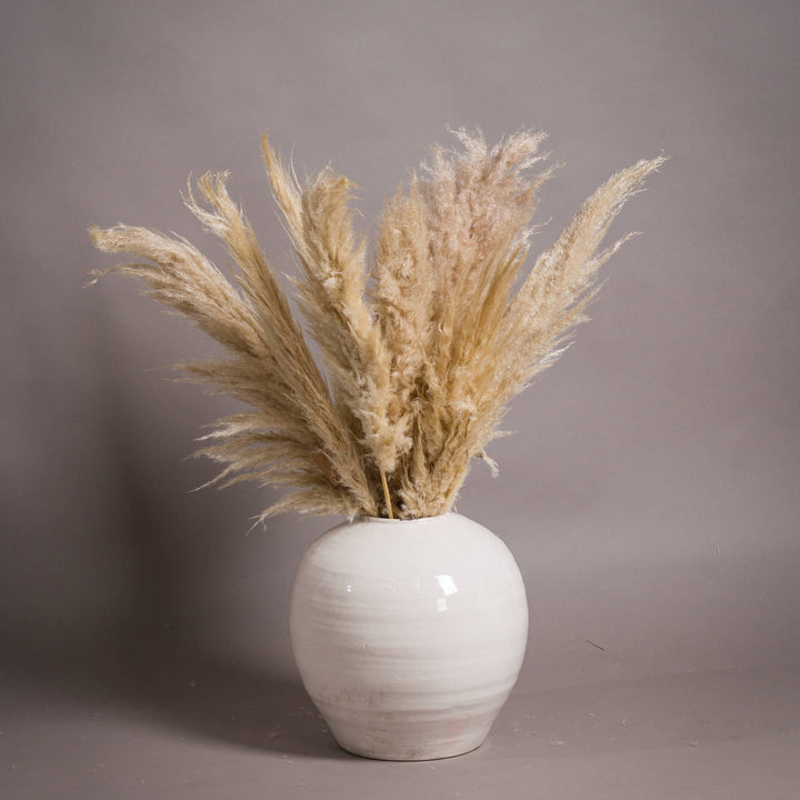 Garda Glazed Large Regola Vase - Reposing