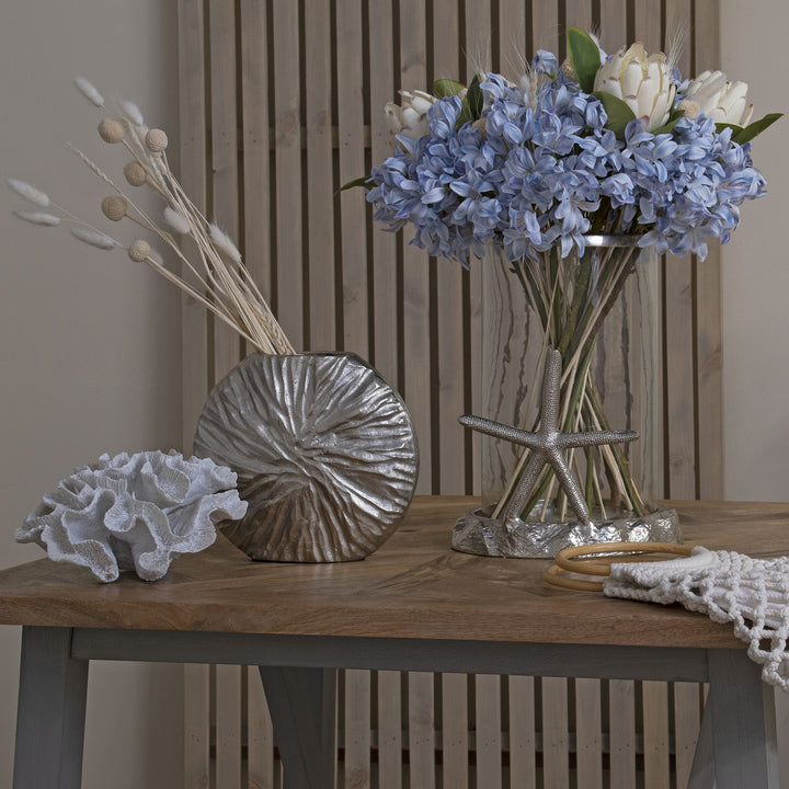 Light Blue Large Headed Agapanthus - Reposing