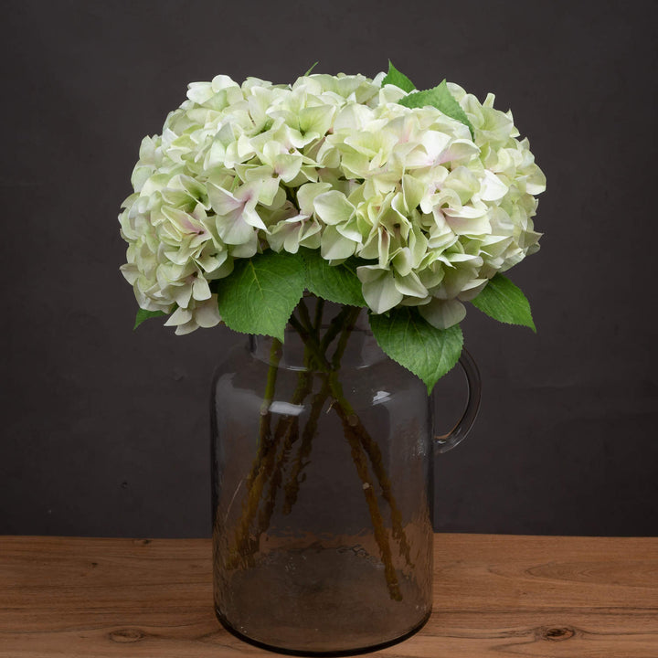 Shabby Green Single Hydrangea - Reposing