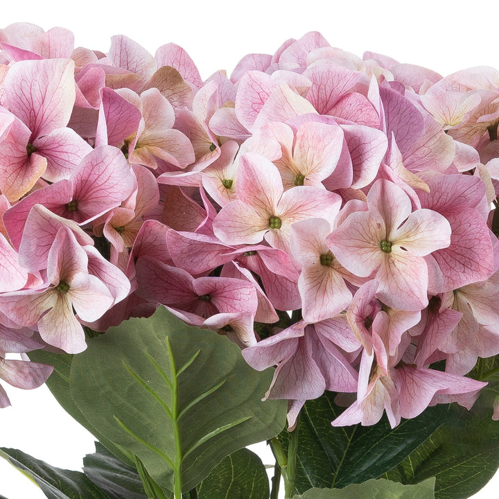 Shabby Pink Hydrangea Bouquet - Reposing