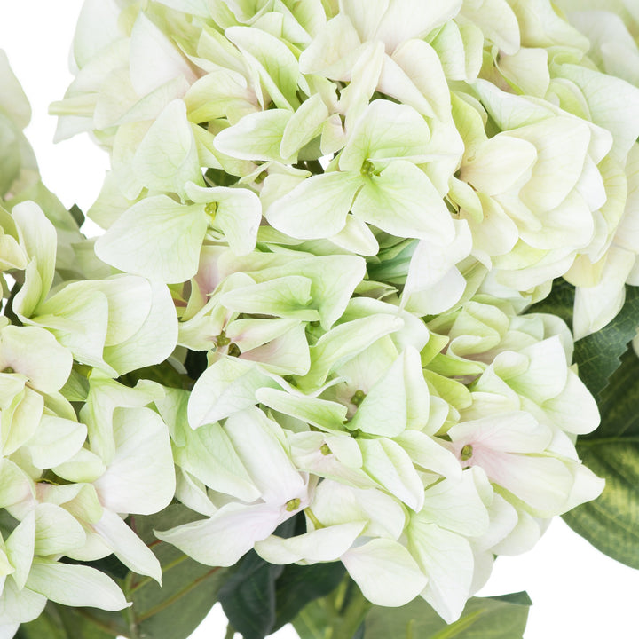 Shabby Green Hydrangea Bouquet - Reposing