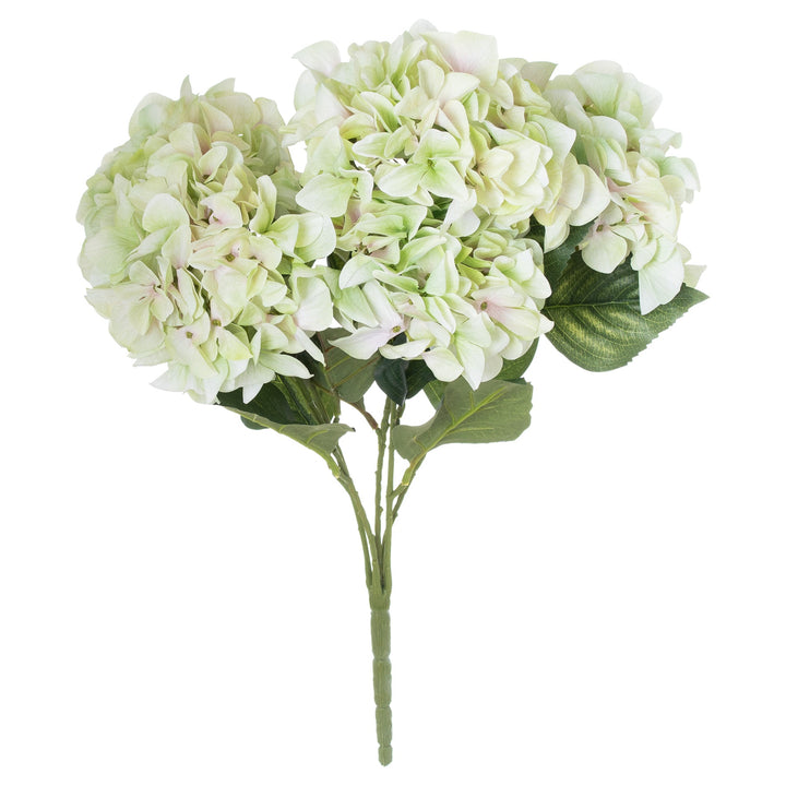Shabby Green Hydrangea Bouquet - Reposing
