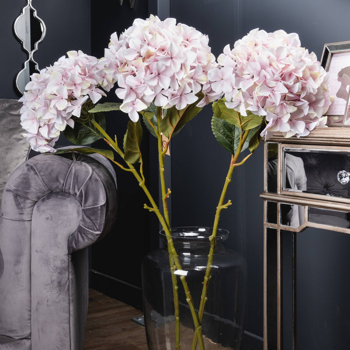 Giant Pink Hydrangea - Reposing