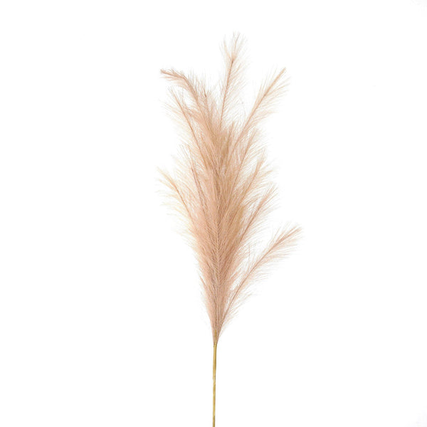 Large Faux Pampas Grass Stem - Reposing