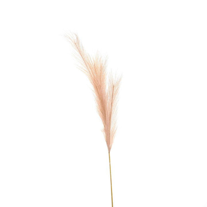 Faux Pampas Grass Stem - Reposing