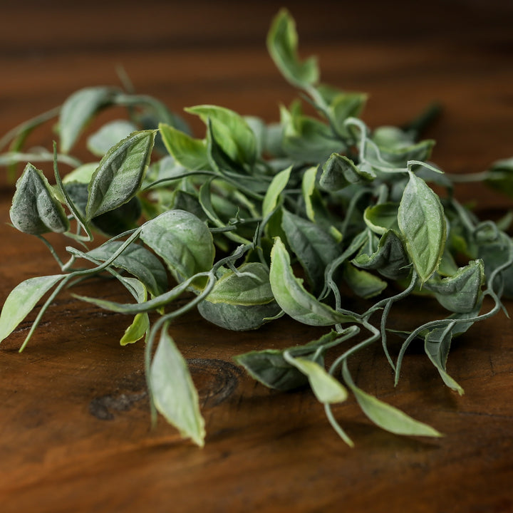 Green Shoots Greenery Bunch - Reposing