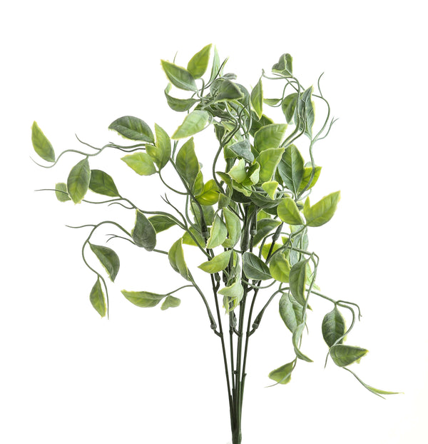 Green Shoots Greenery Bunch - Reposing